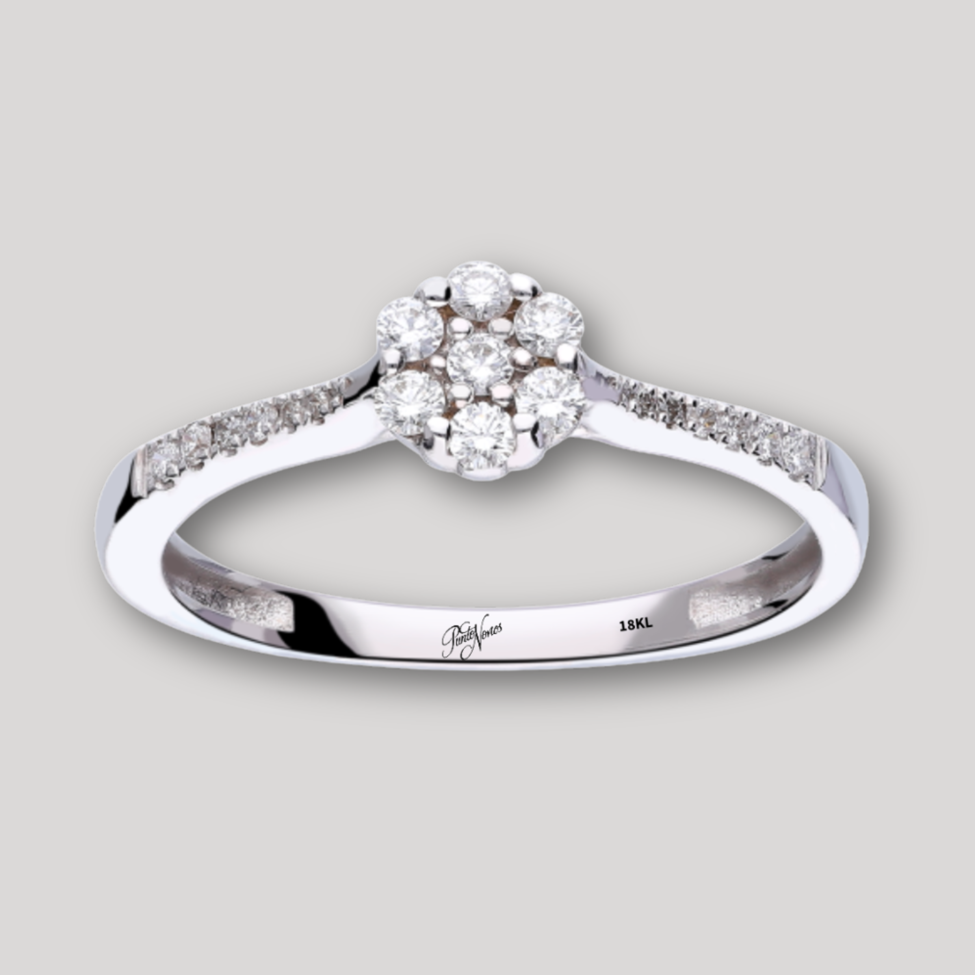 Punto Novios Joyas