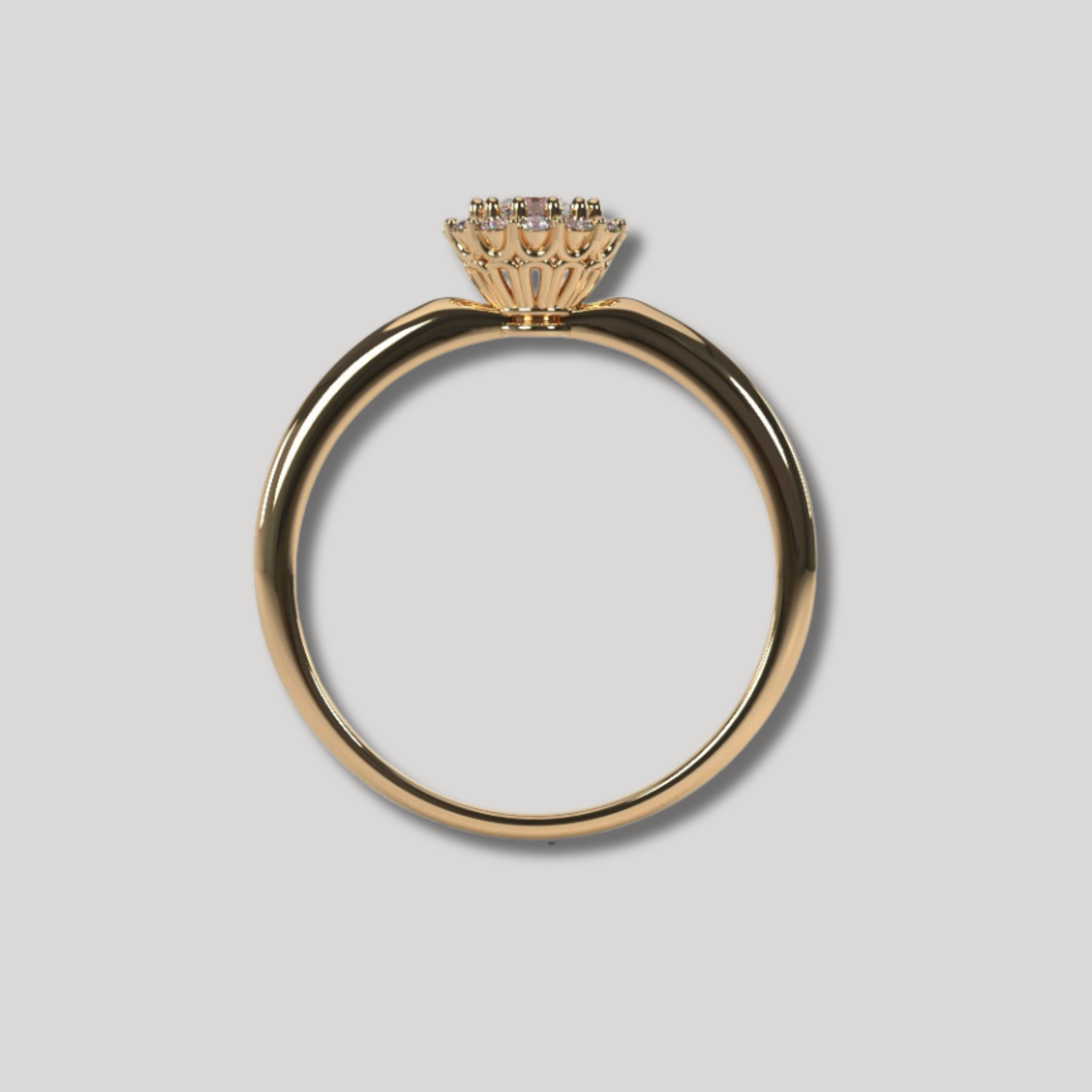 Anillo de Compromiso "Sarandi"